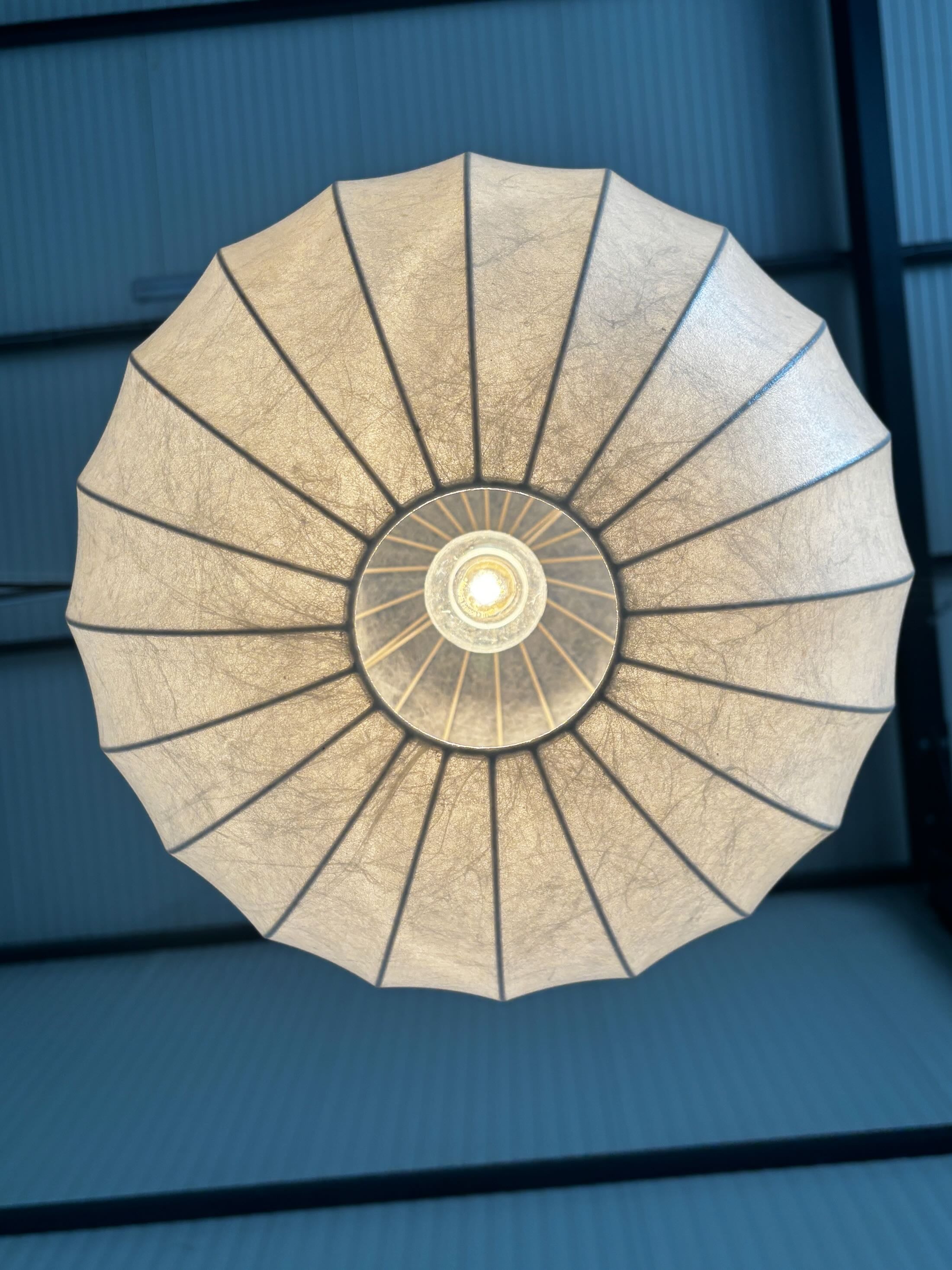 Cocoon Pendant Lamp