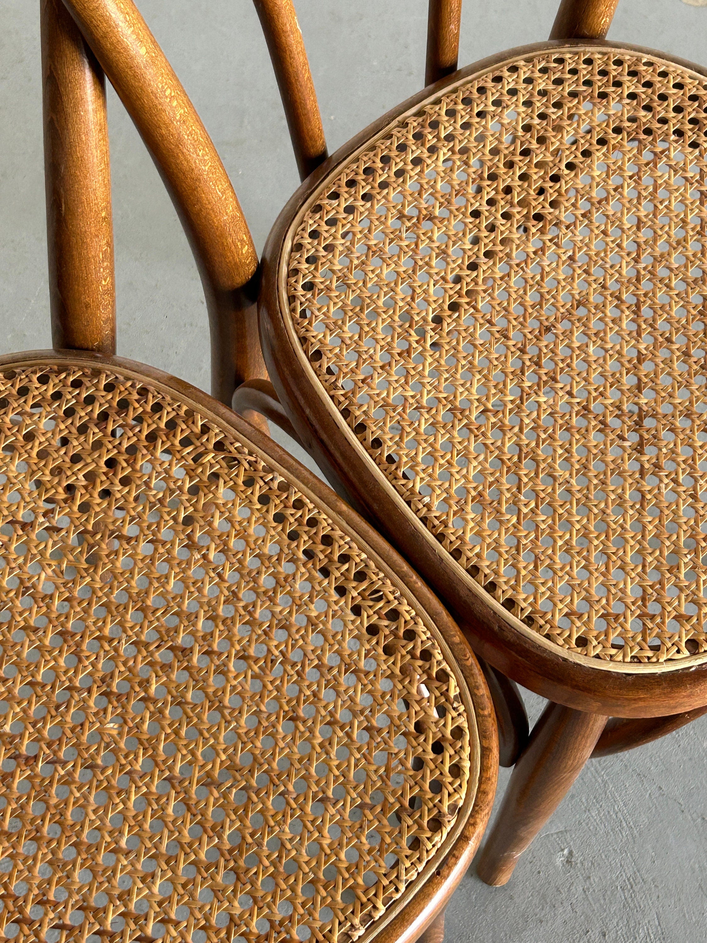 Thonet Bentwood Style Chairs No. 14, 1970s