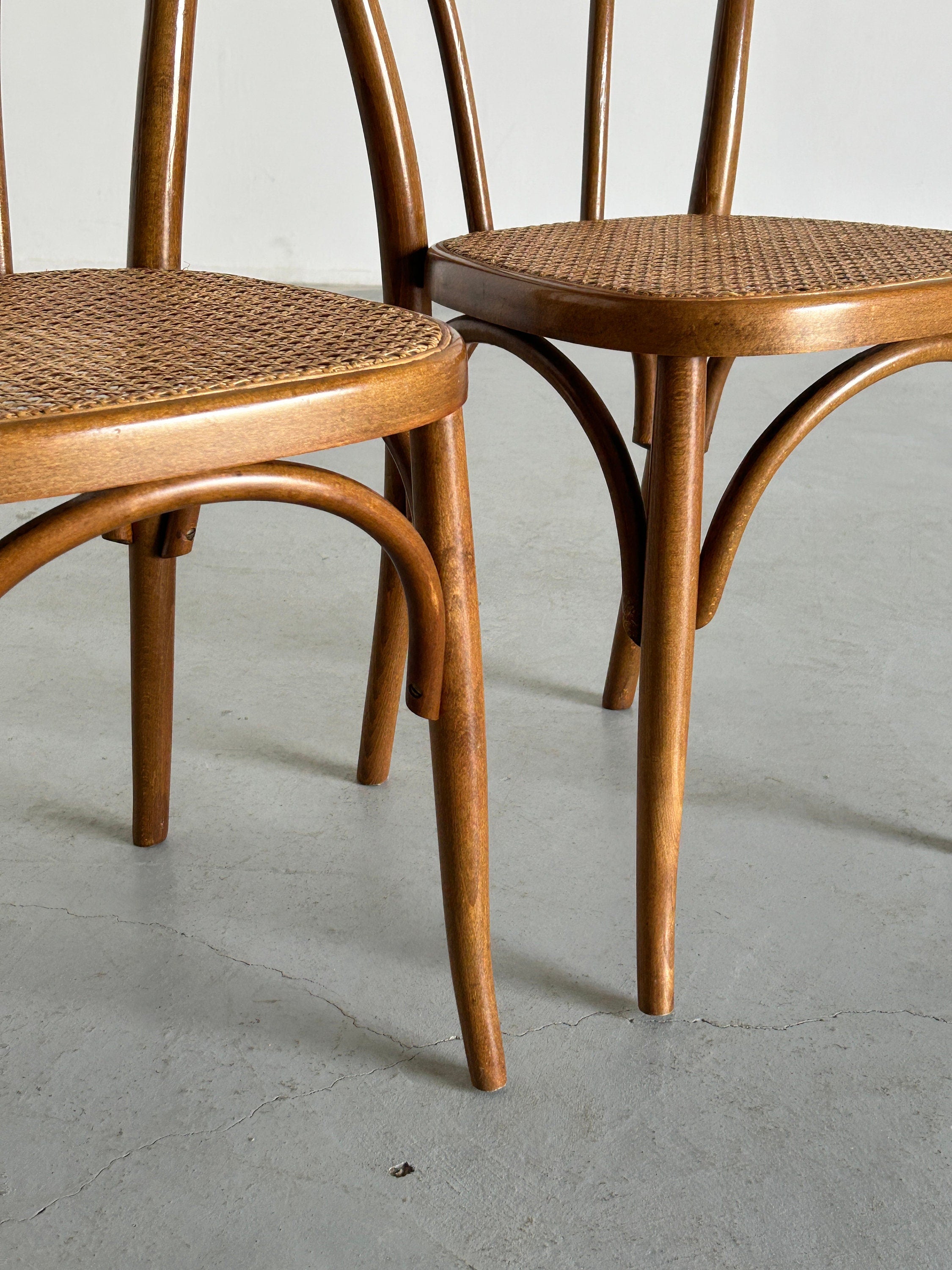Thonet Bentwood Style Chairs No. 14, 1950s