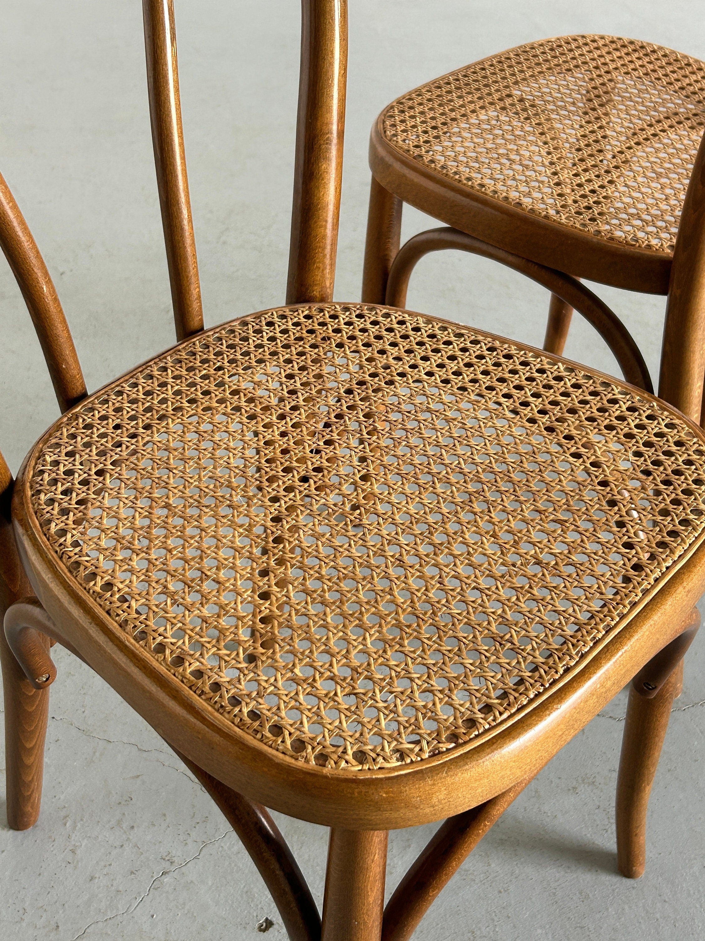 Thonet Bentwood Style Chairs No. 14, 1950s