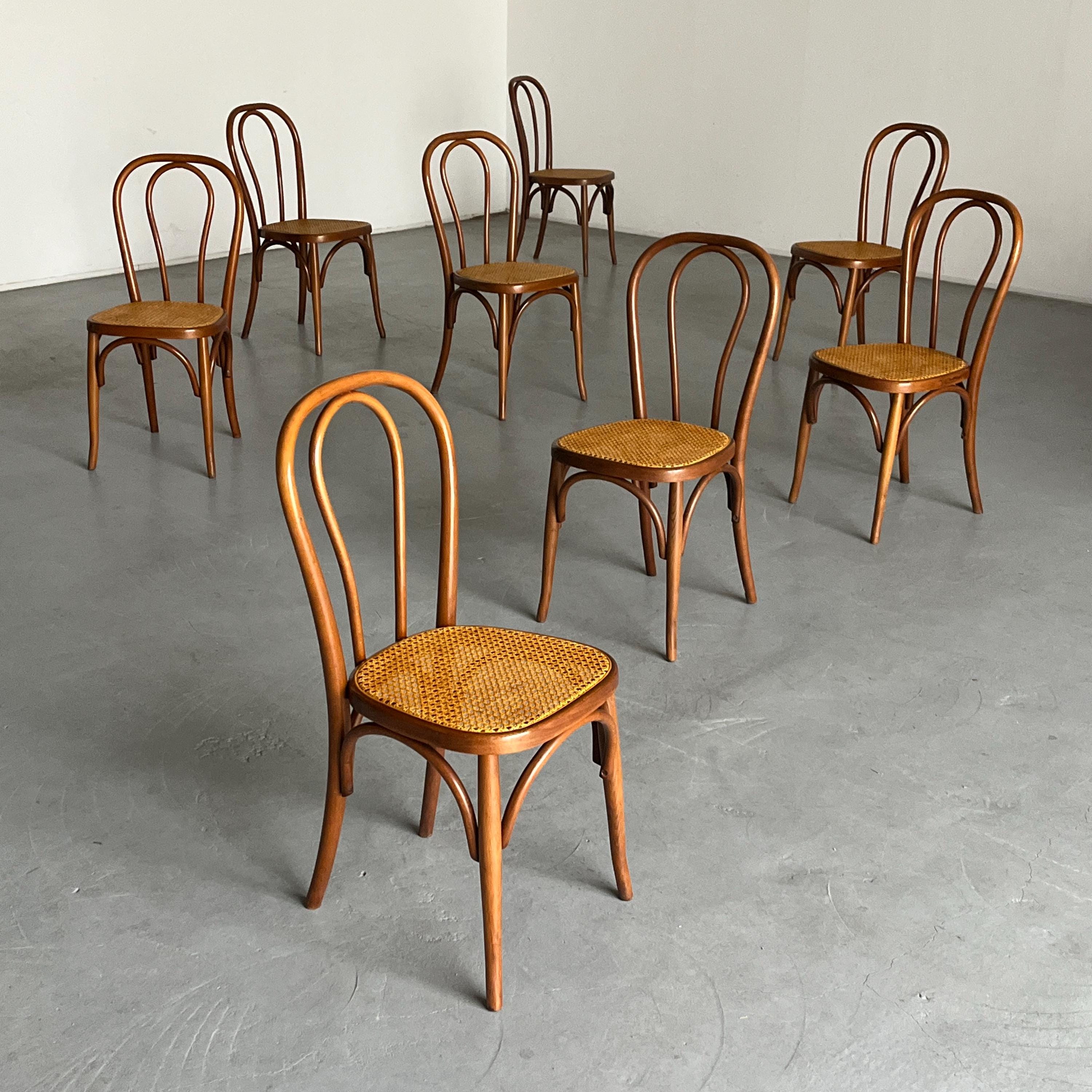 Thonet Bentwood Style Chairs No. 14