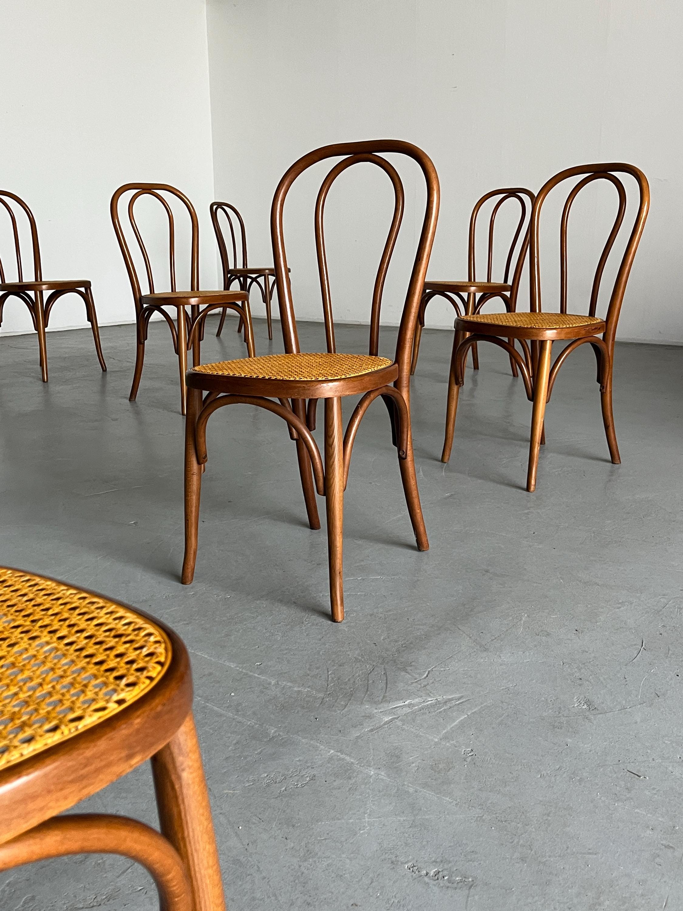 Thonet Bentwood Style Chairs No. 14
