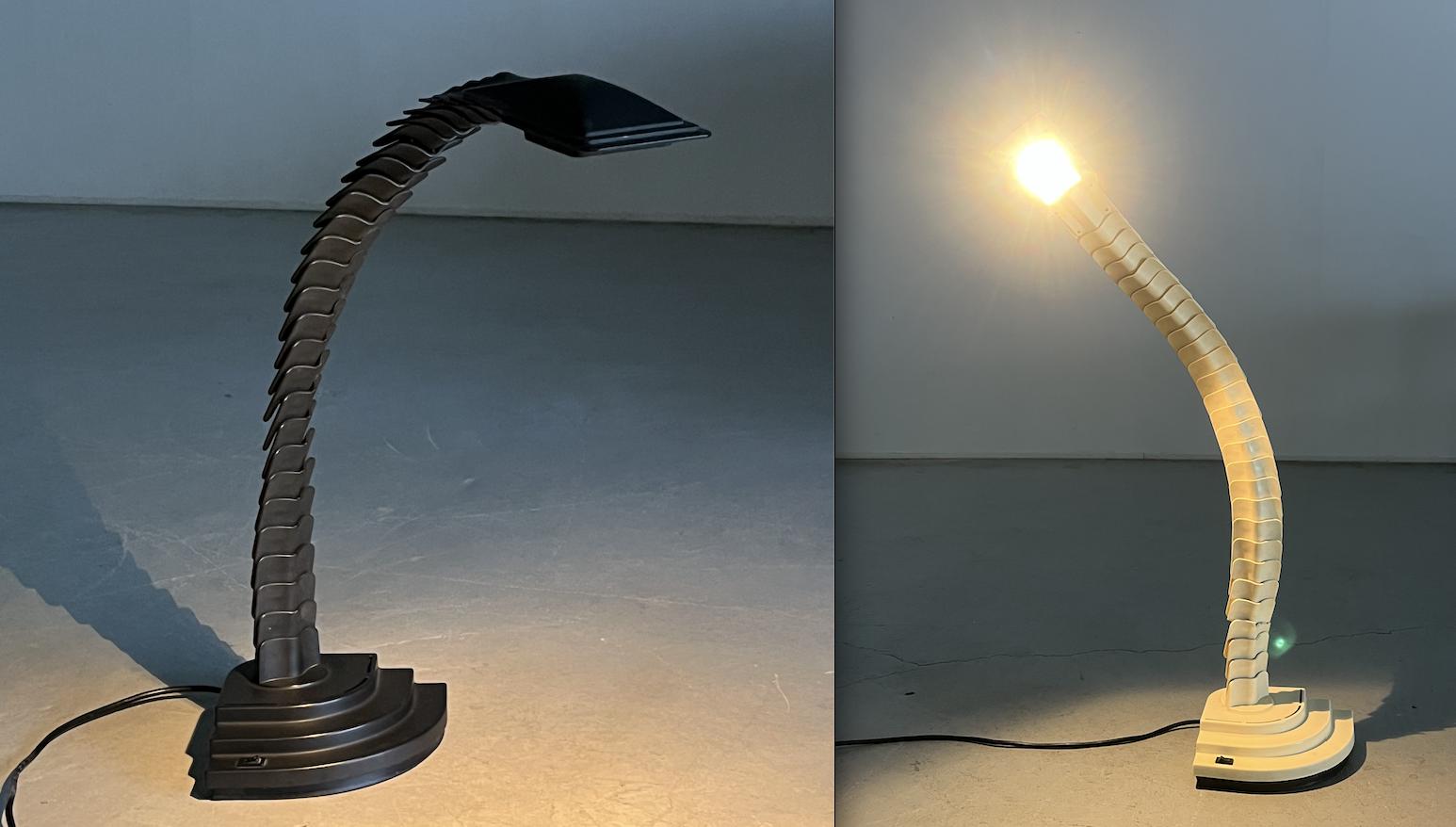 Vintage Flexible Serpentine 'Proteo' Desk Lamps by Mario Bertorelle for JM RDM Massanzago, 1970s Italy