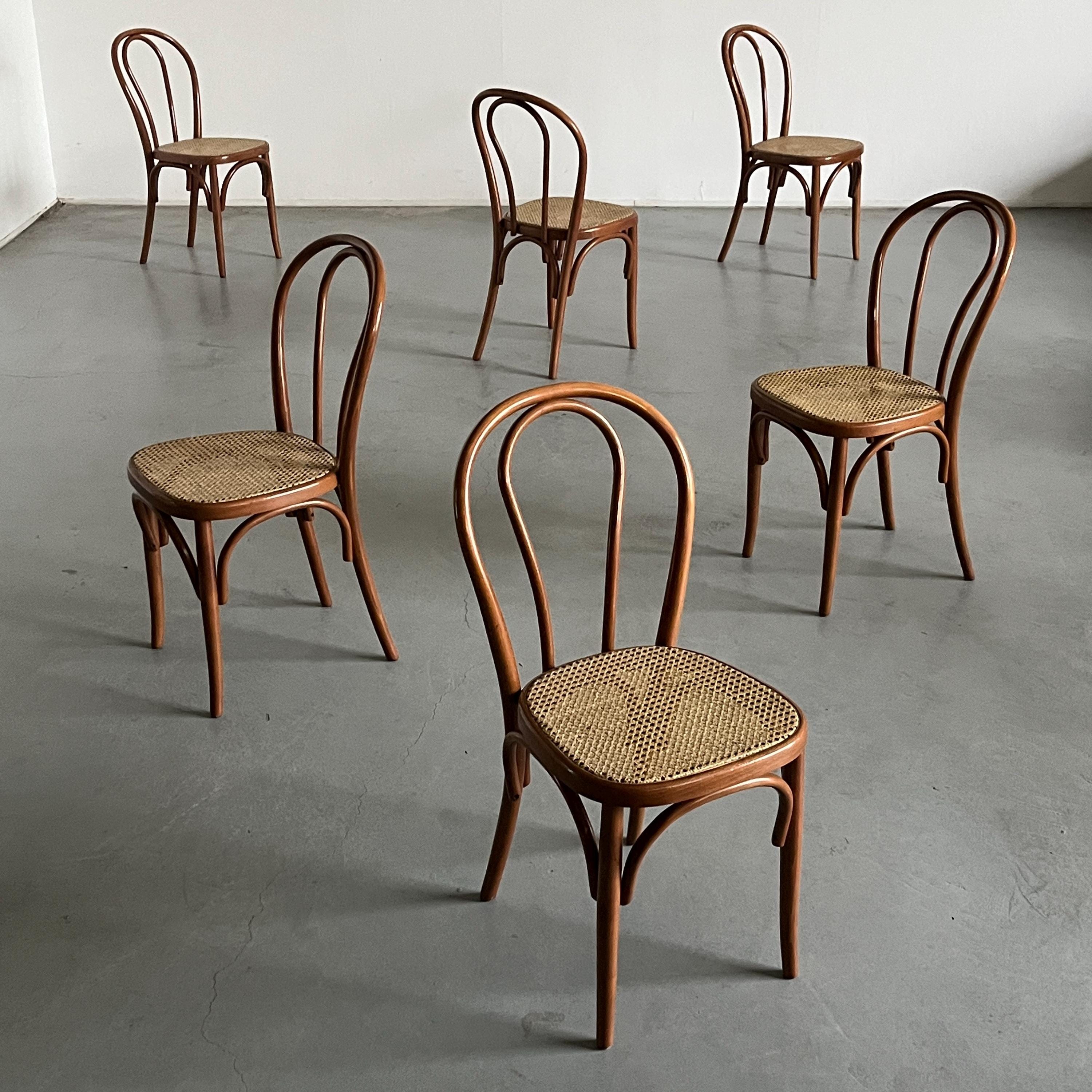 European Cafe Dining Chairs in Style of Thonet no. 14