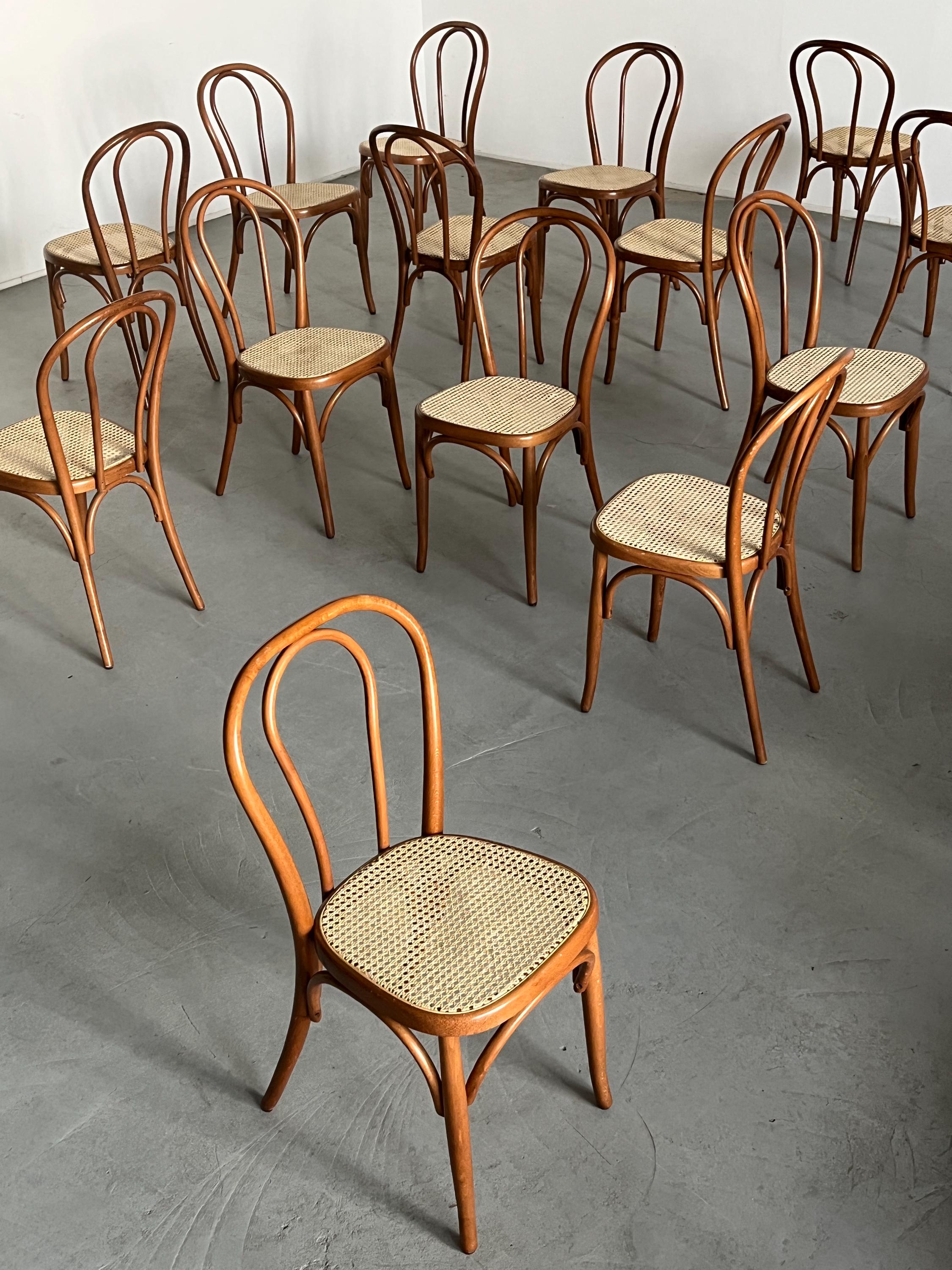 Thonet Bentwood Style Chairs - Main Image