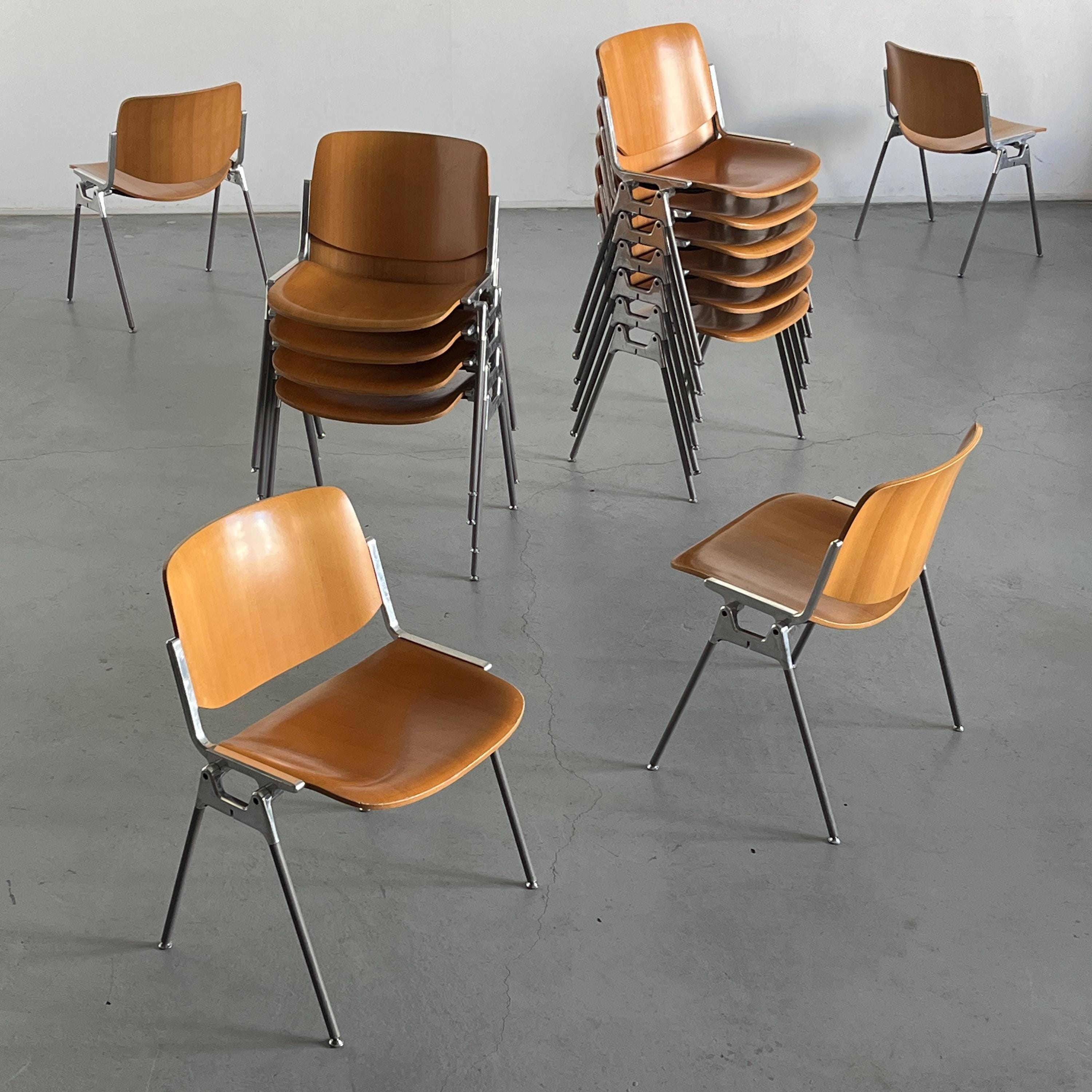 'DSC 106' Armchairs or Desk Chairs by Giancarlo Piretti for Anonima Castelli, Bent Plywood, 1965
