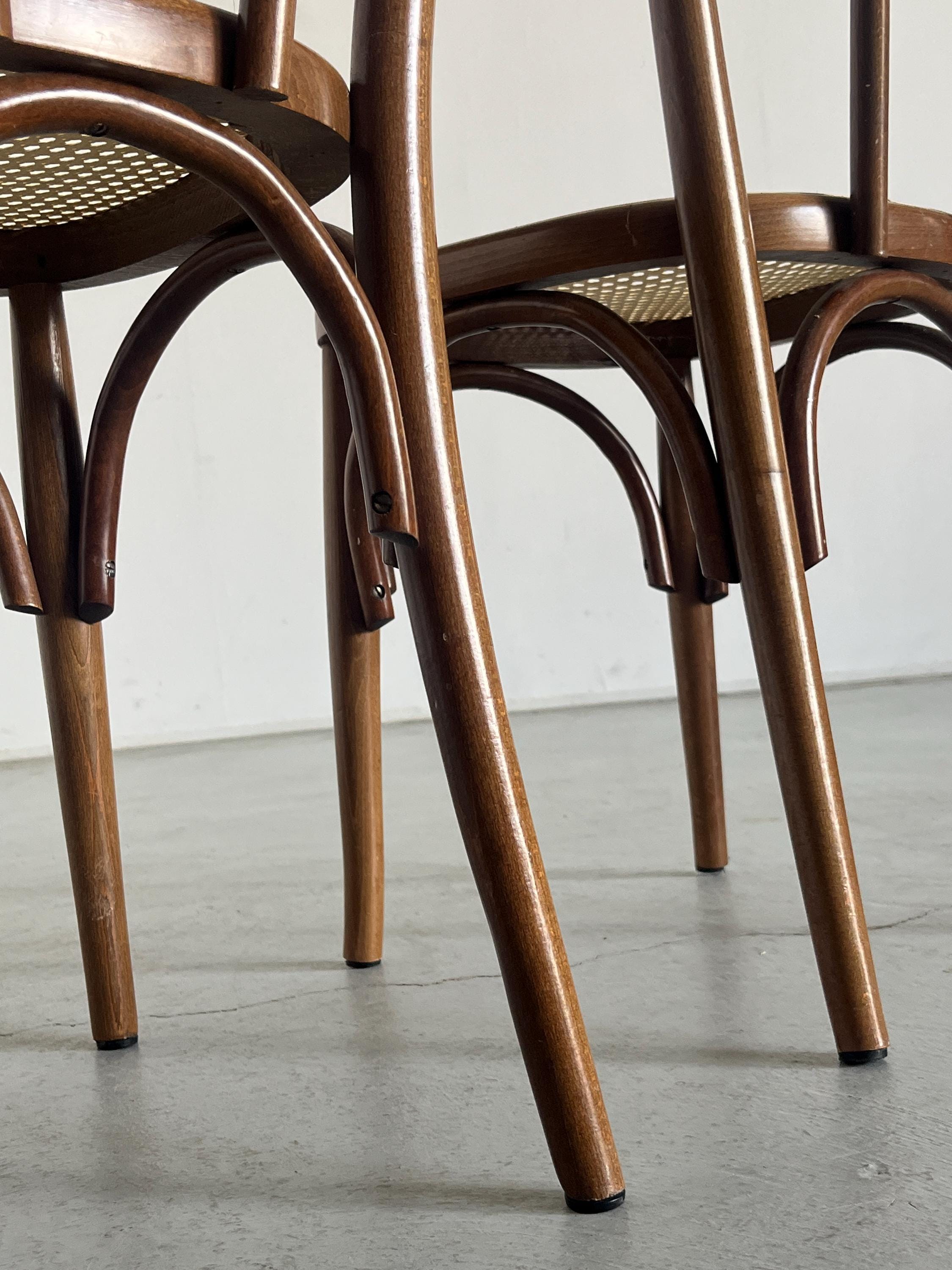 Thonet Bentwood Style Chairs No. 14