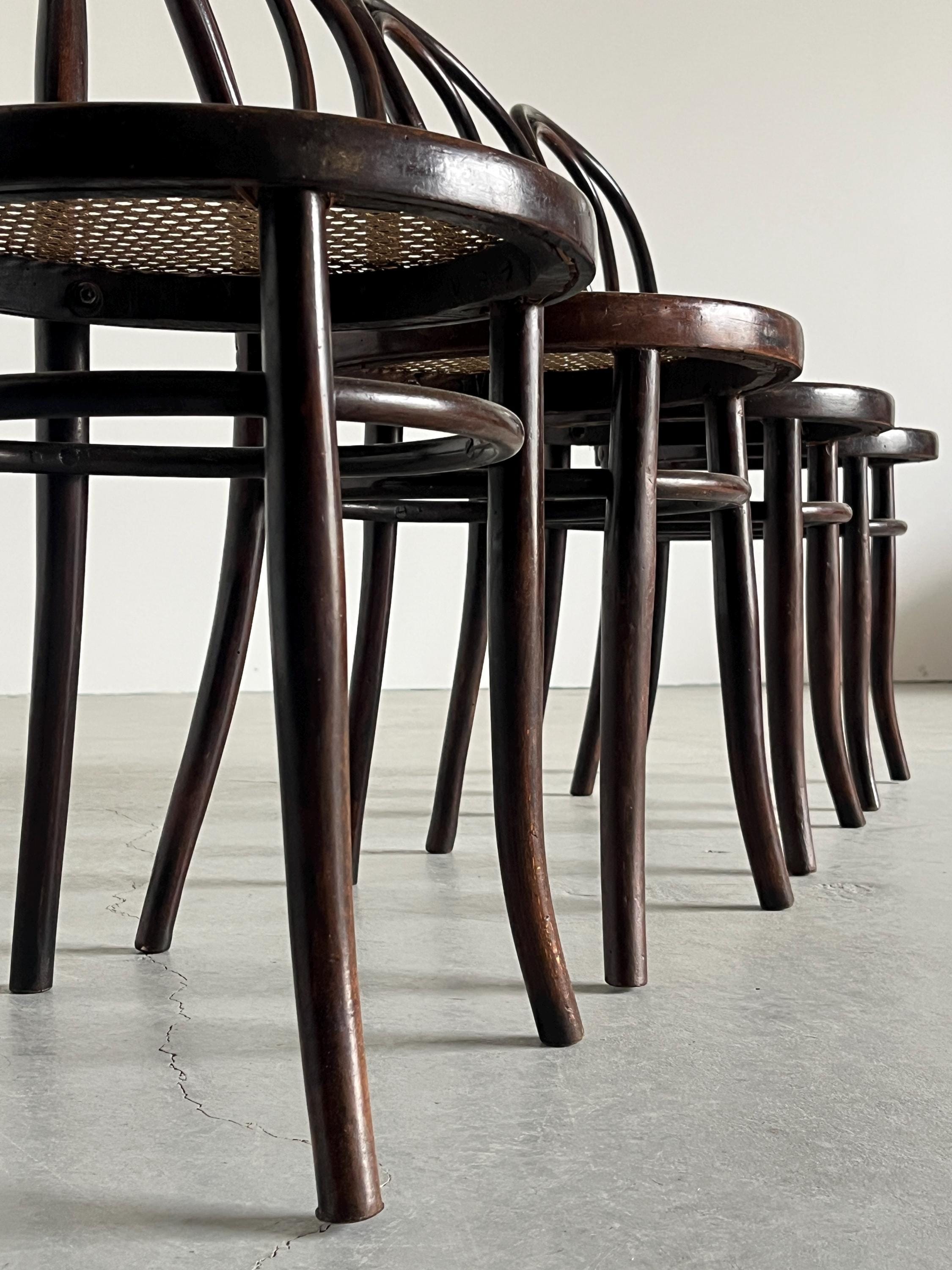 Thonet Bentwood Style Chairs No. 14