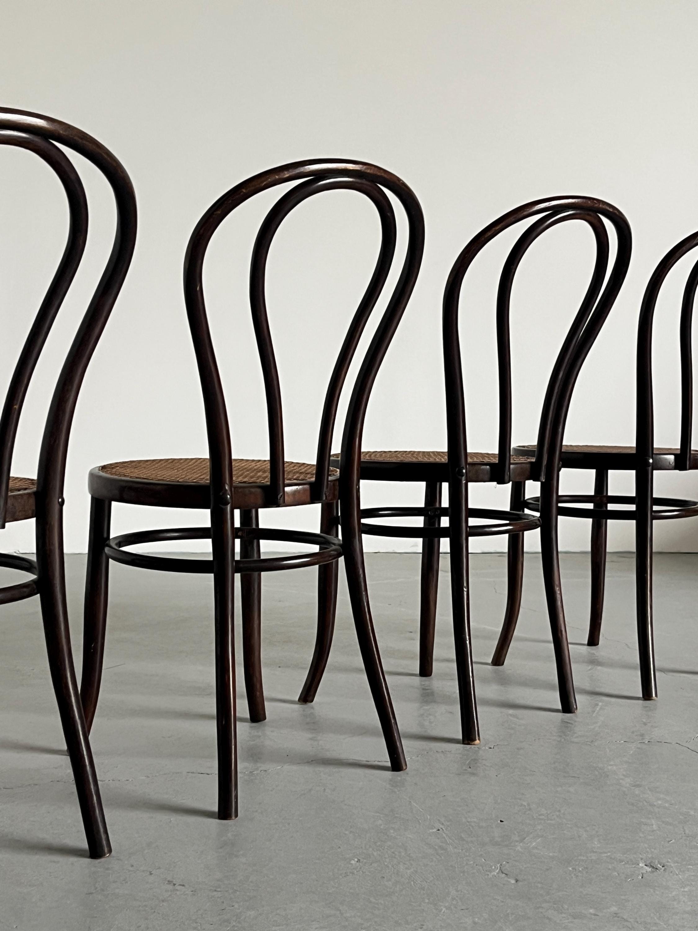 Thonet Bentwood Style Chairs No. 14