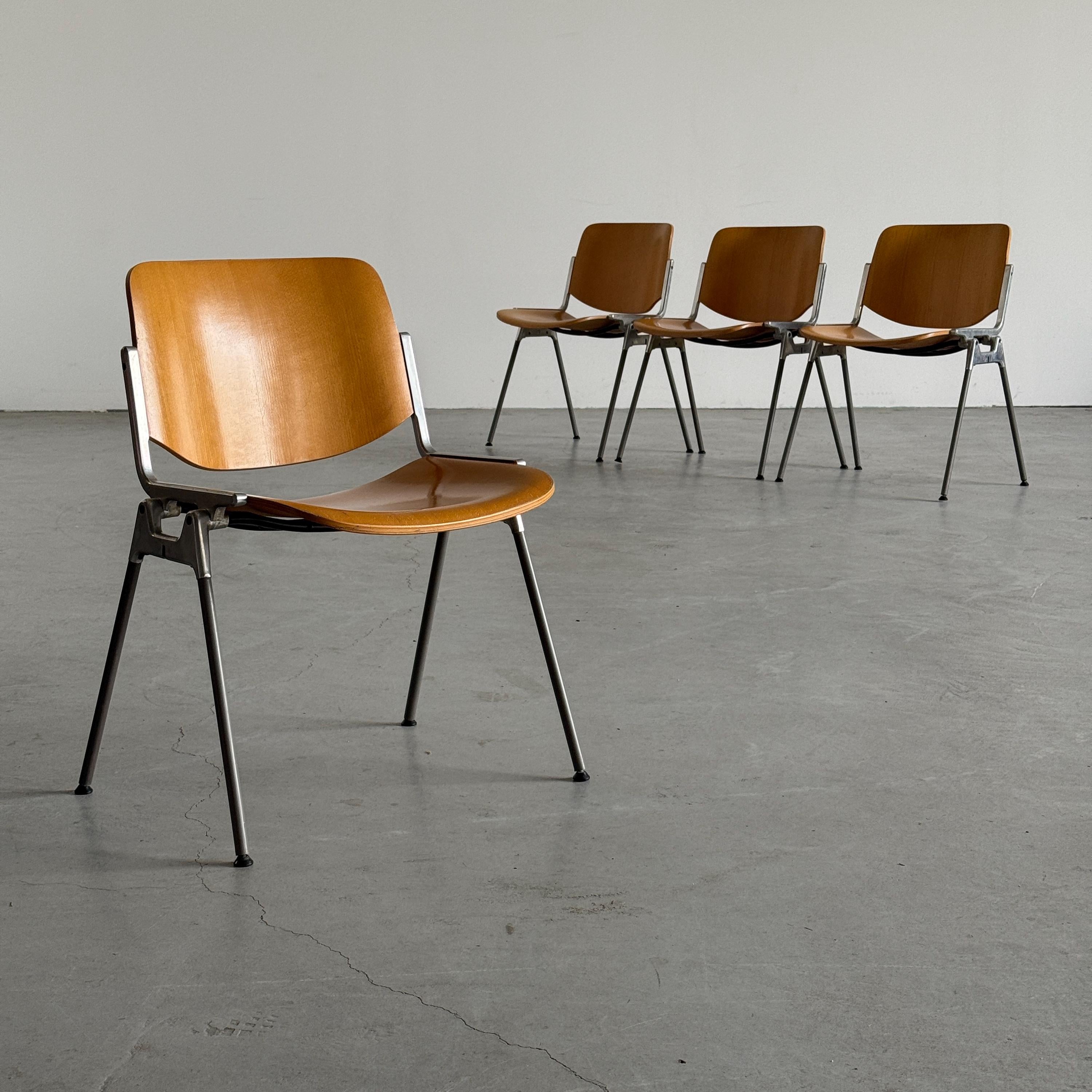 'DSC 106' Chairs by Giancarlo Piretti for Anonima Castelli