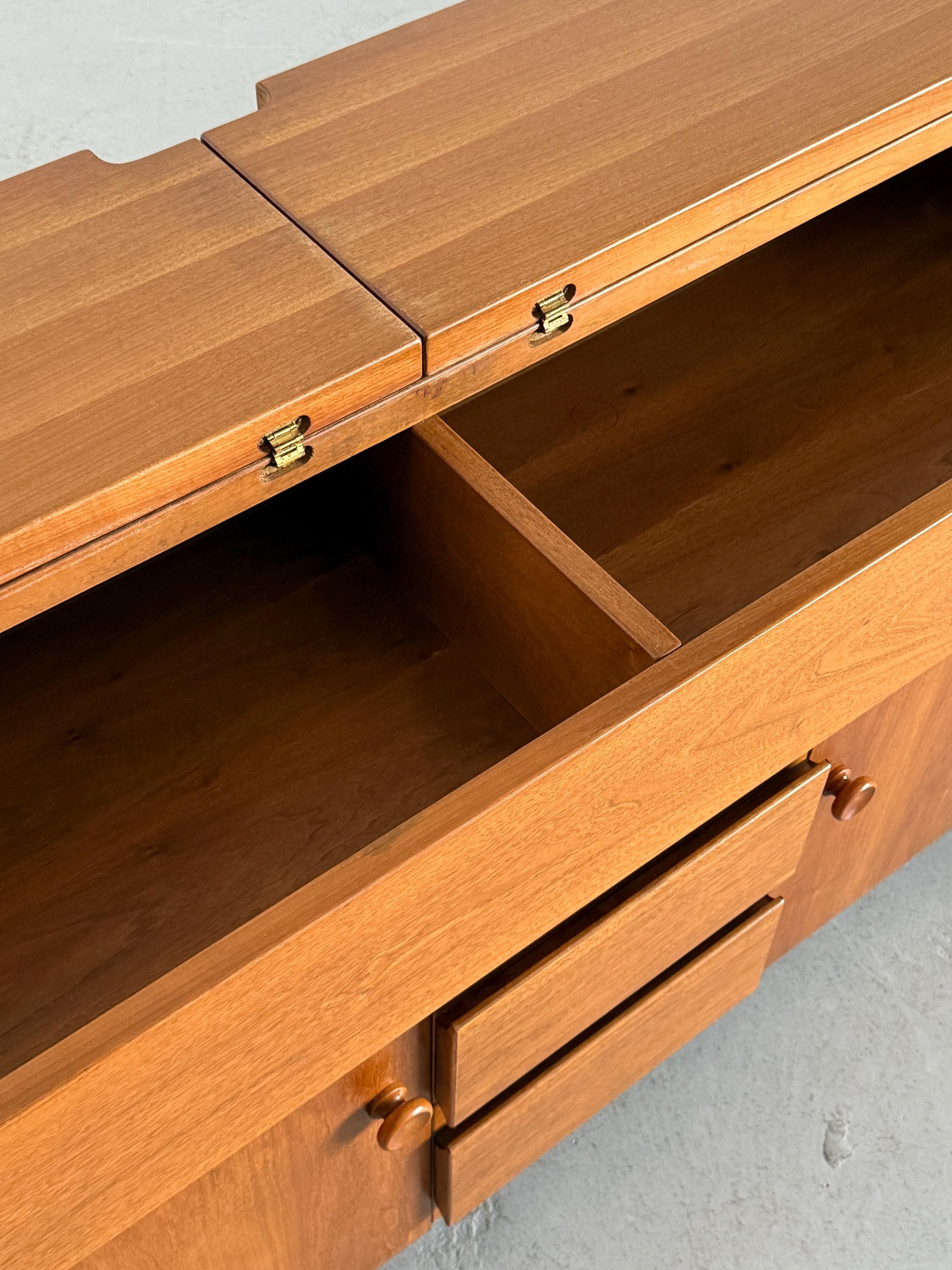 Torbecchia Sideboard by Giovanni Michelucci for Poltronova