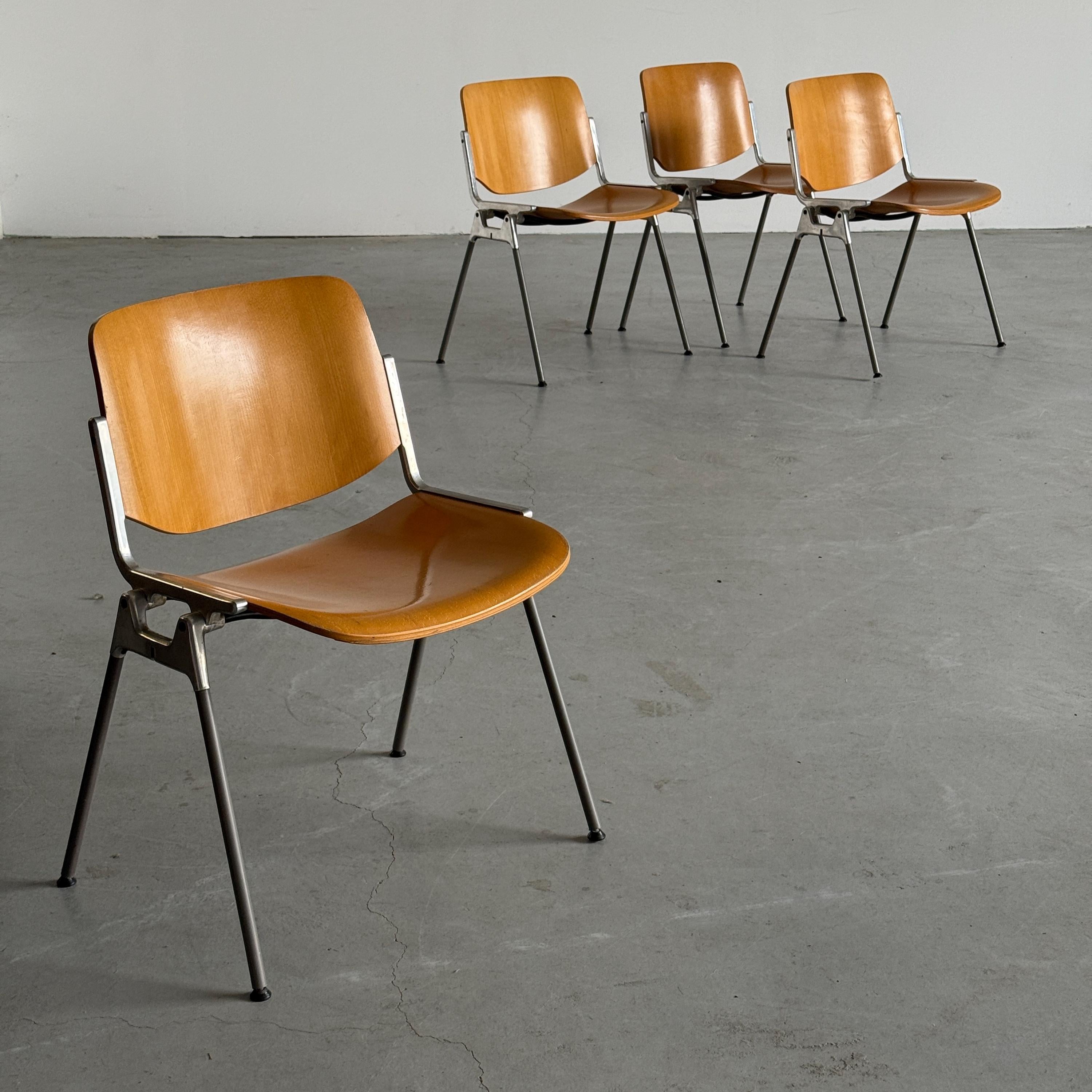 'DSC 106' Chairs by Giancarlo Piretti for Anonima Castelli