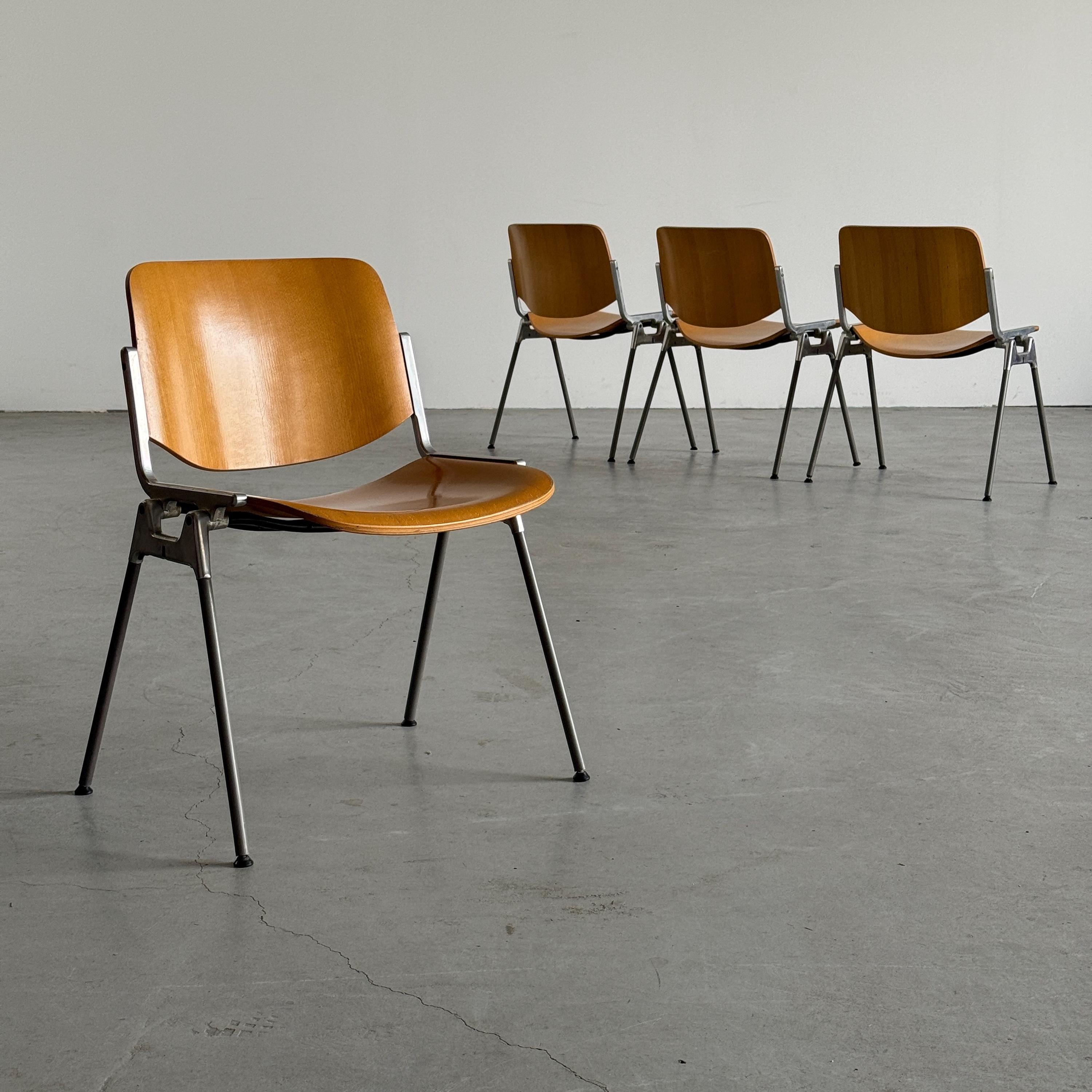 'DSC 106' Chairs by Giancarlo Piretti for Anonima Castelli
