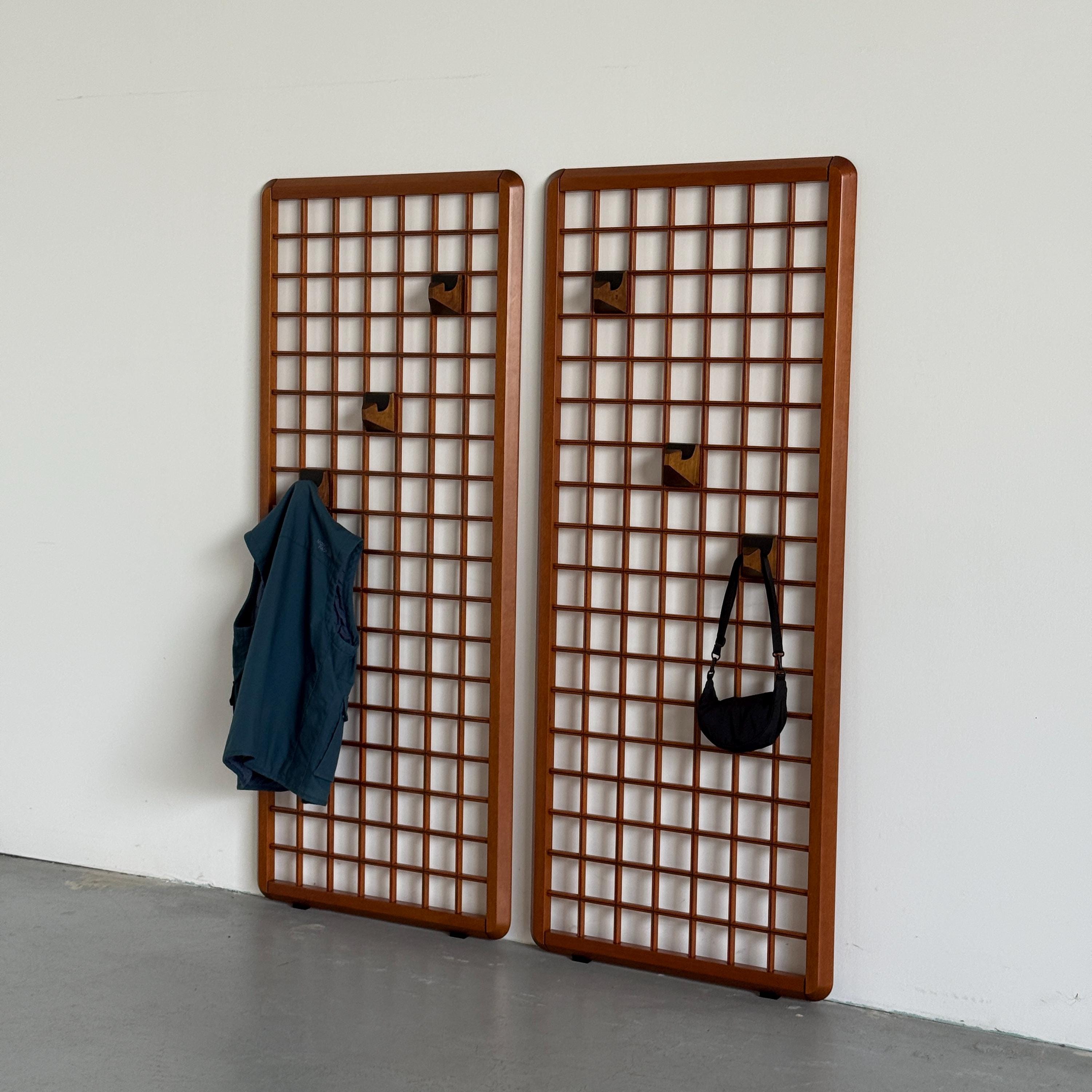 Modular Wall Coat Racks by Franco Poldaretti for Linea Arredamenti