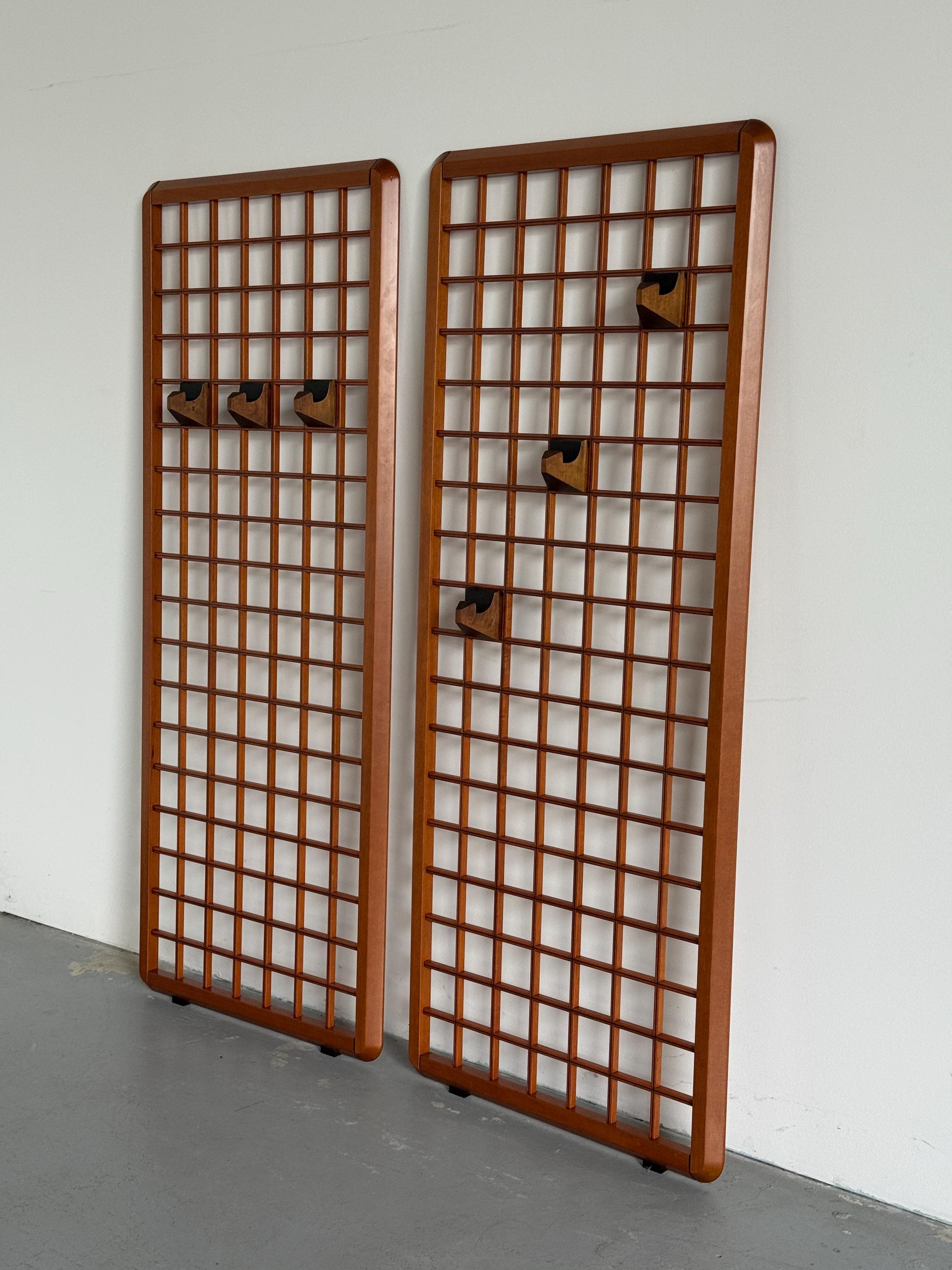 Modular Wall Coat Racks by Franco Poldaretti for Linea Arredamenti