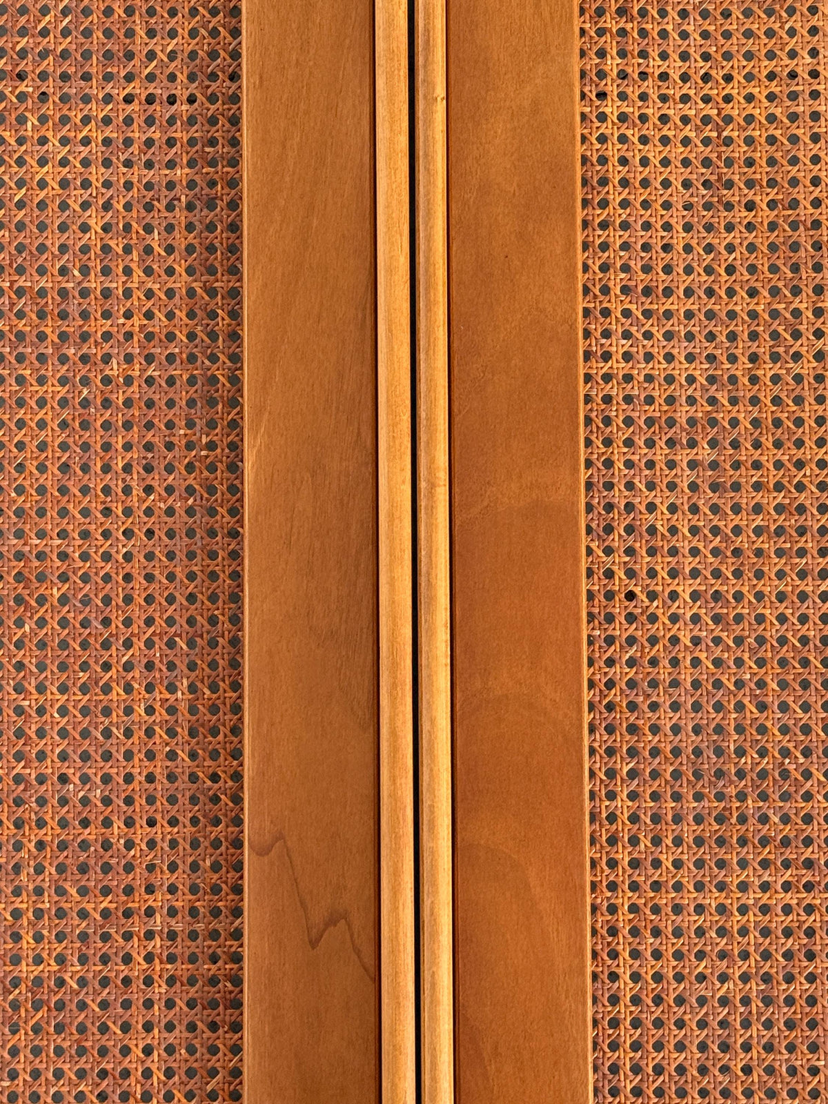 La Moderna Wall-Mounted Coat Rack in Cane and Leather