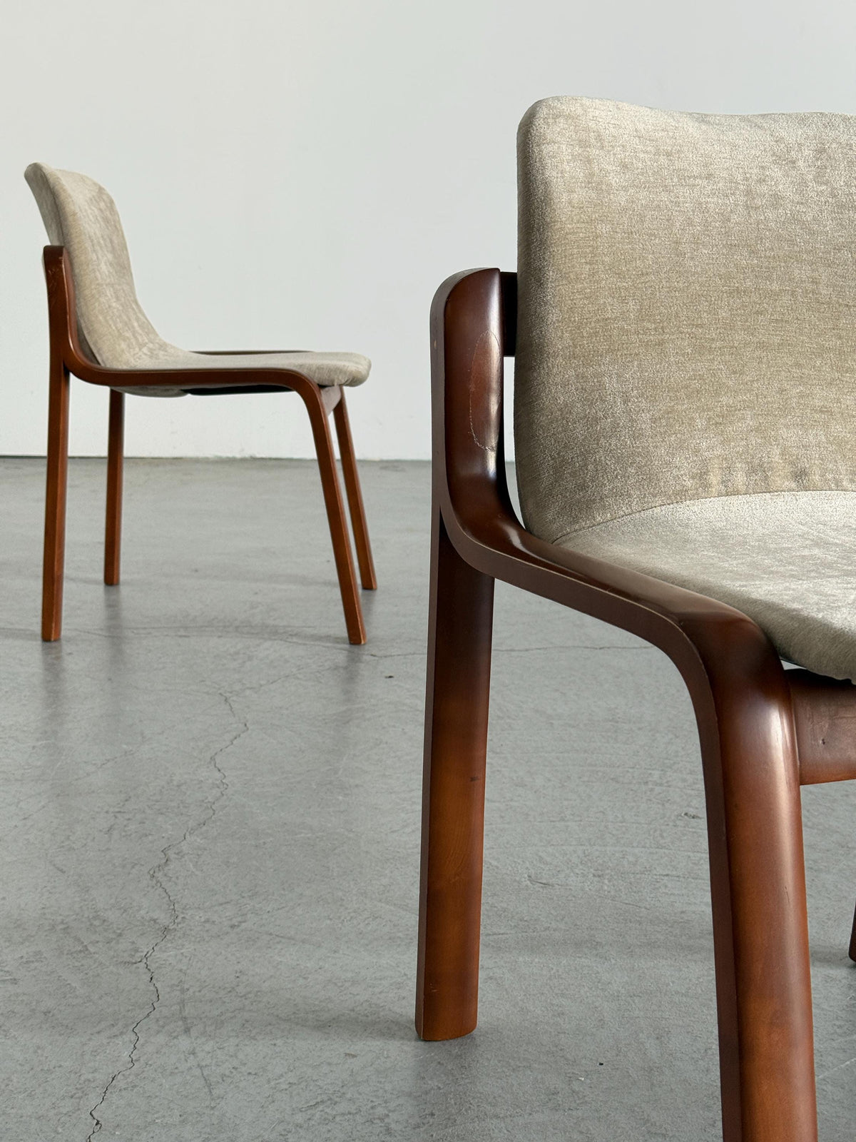 Italian Bentwood Chairs with Greige Velvet