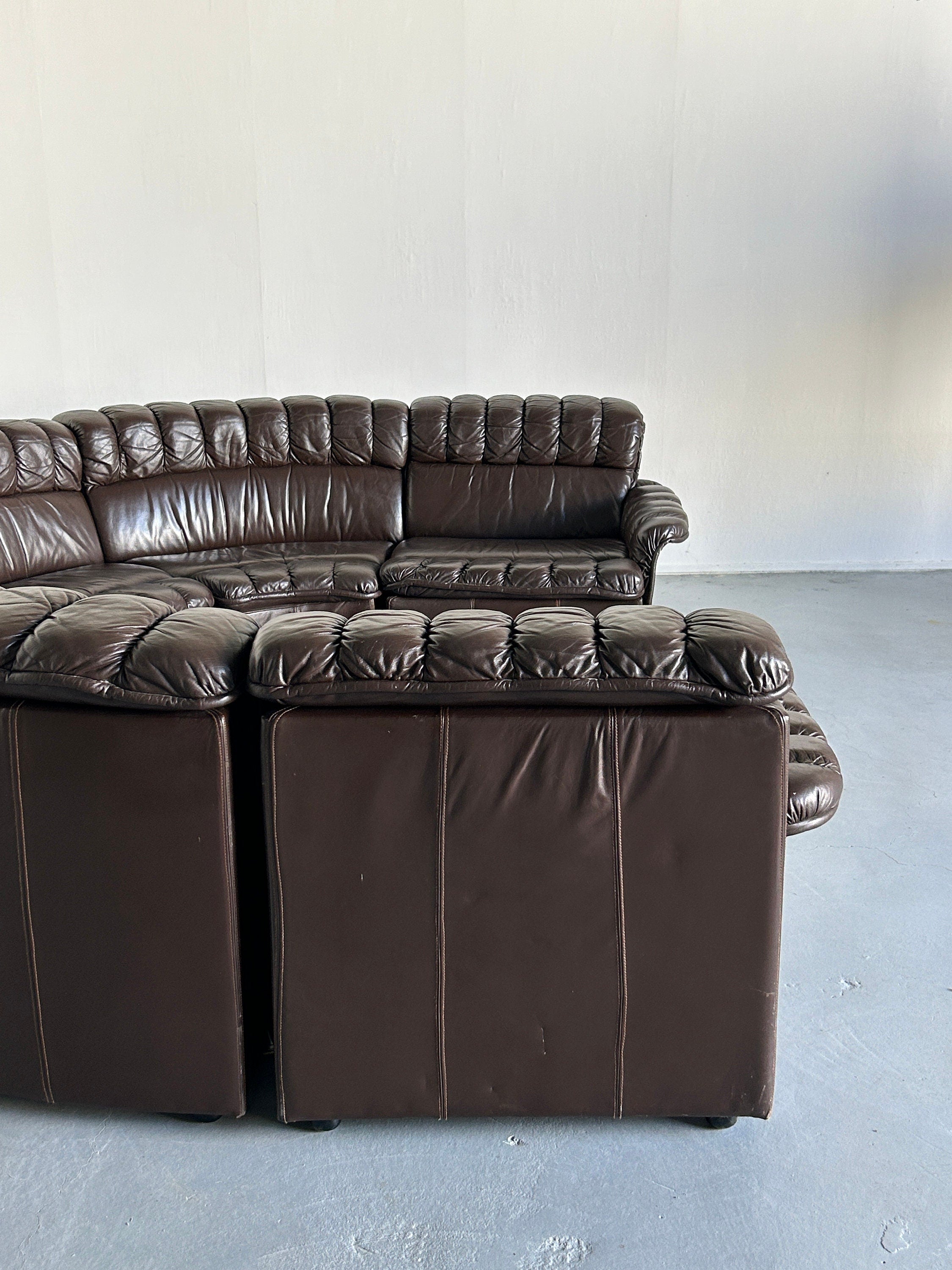 Sectional Snake Sofa in the style of De Sede DS-600 Non-Stop, 1970s