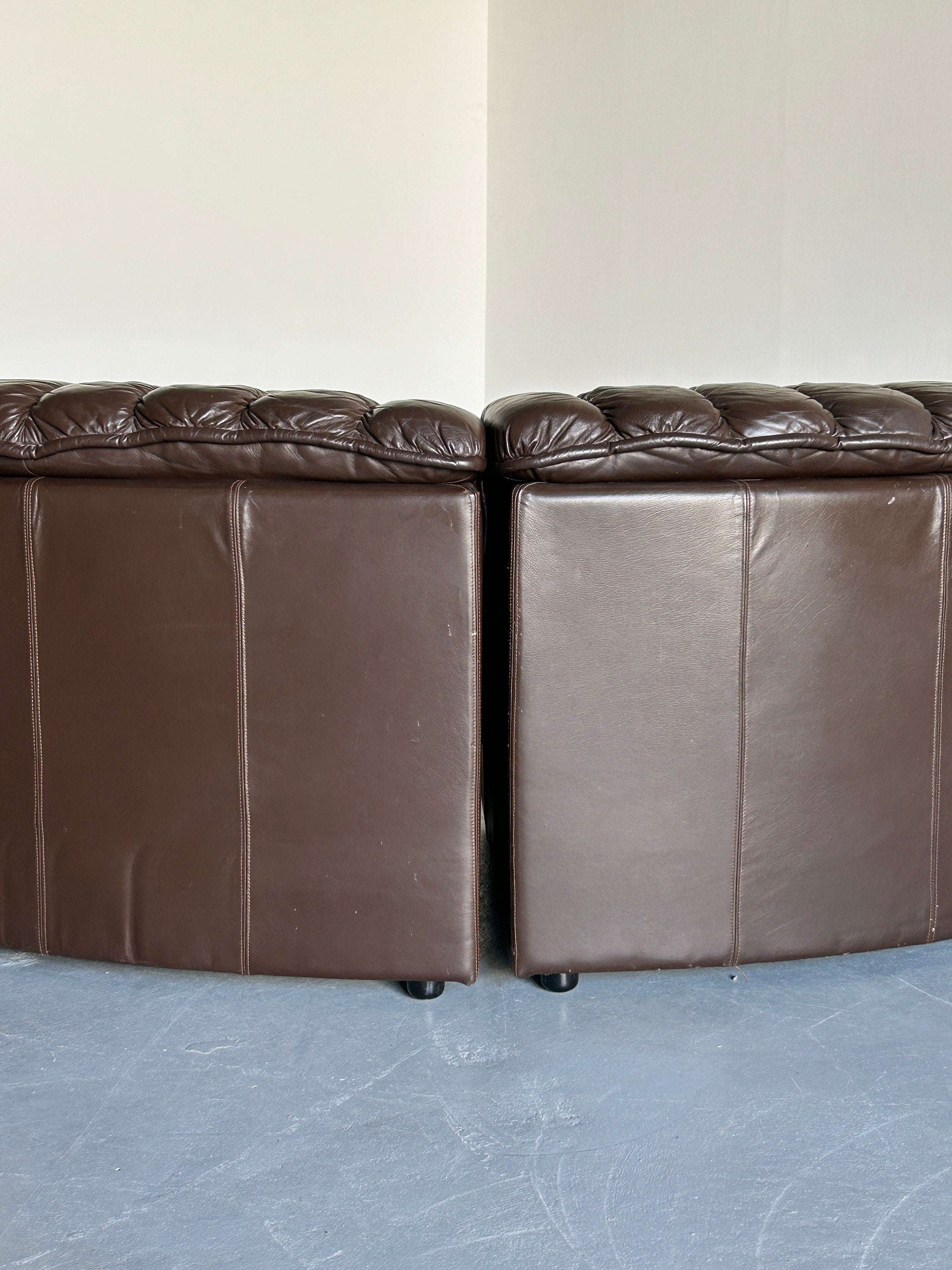 Sectional Snake Sofa in the style of De Sede DS-600 Non-Stop, 1970s